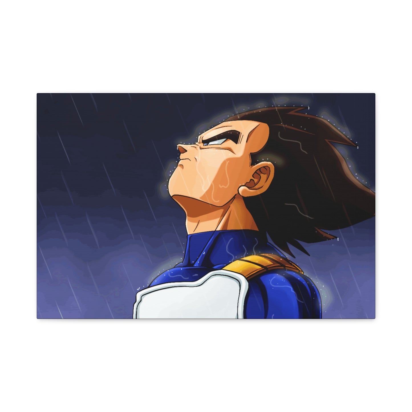 Dragon Ball Z 'Vegeta Rain'